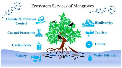 Sustainable management of mangrove ecosystems