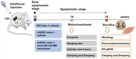 Systematic Review of Antihyperlipidemia Ethanol Extract of Indonesian Plants in Rats and Mice