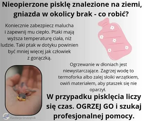 Szukaj profesjonalnej pomocy