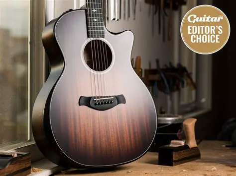 Taylor 816ce Builder's Edition: A Deep Dive into Unparalleled Craftsmanship