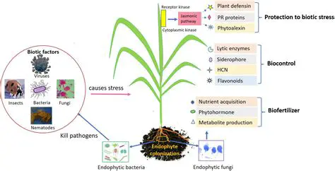 TB Treatment that is Less than Optimal