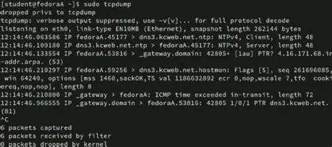 tcpdump Output with Workaround