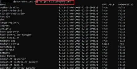 Test the Dockerized version