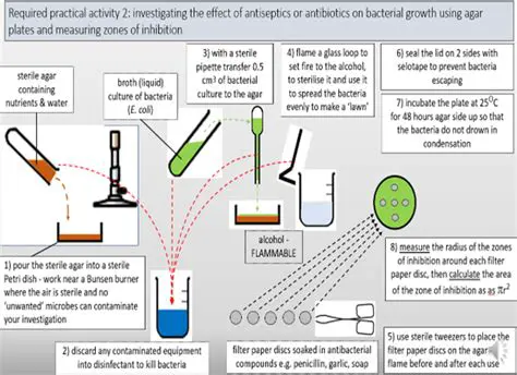 Testing Antibacterial Compounds