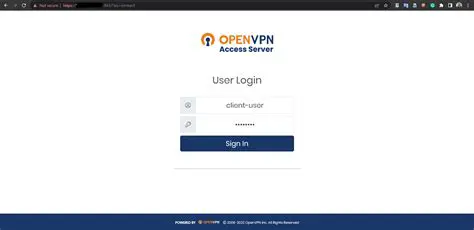 Testing the OpenVPN Connection