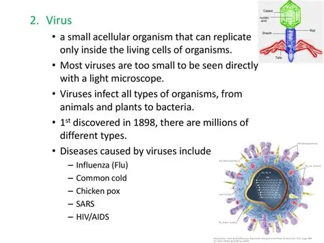 The Acellular Nature of Viruses