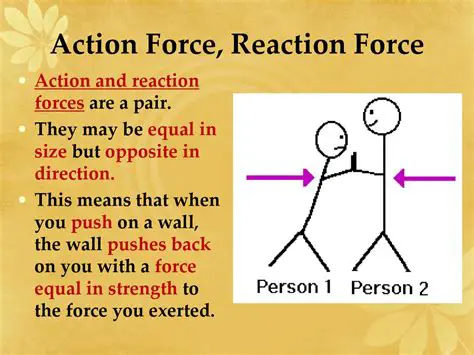 The Action and Reaction Forces