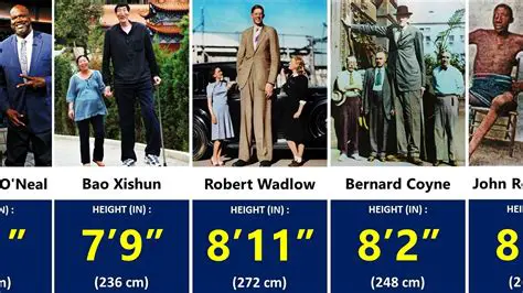 The Actual Height of the Book