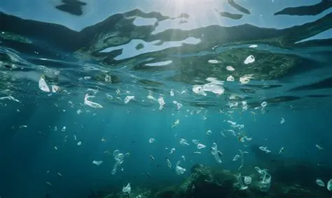 The Alarming Reality of Microplastic Pollution in Belawan Waters