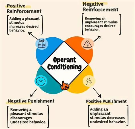 The Applications of Operant Conditioning