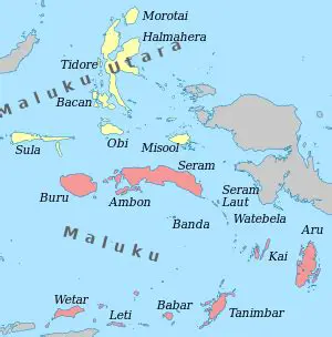 The Arab Community in Maluku