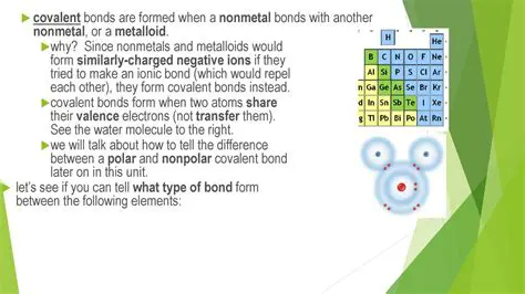 The Attraction between Metal and Nonmetal Ions