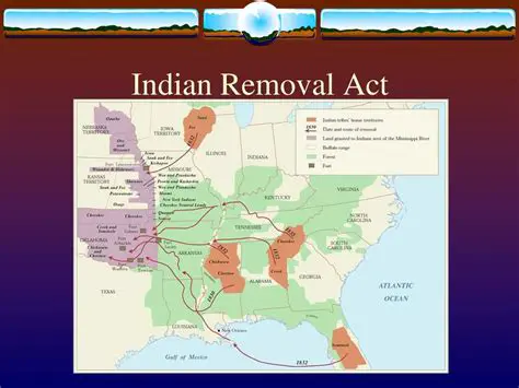 The Background of the Indian Removal Act