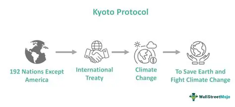 The Background of the Kyoto Treaty