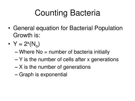 The Bacterial Population Equation