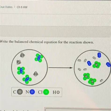 The Balanced Chemical Reaction