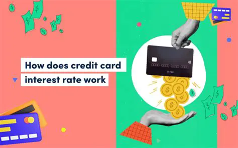 The Basics of Credit Card Interest