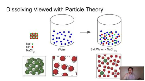 The Basics of Particle Behavior