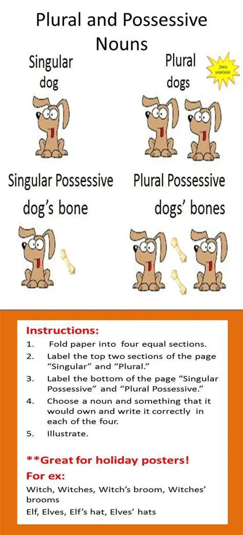 The Basics of Plural and Possessive Nouns