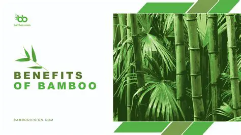 The Benefits of Bamboo Corridors