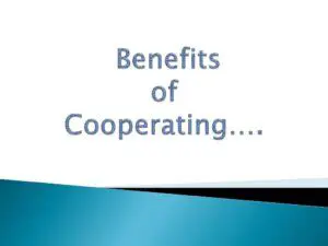 The Benefits of Cooperation