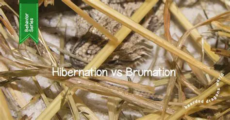 The Benefits of Hibernation or Brumation
