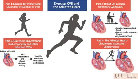 The Benefits of Light Cardiovascular Activity
