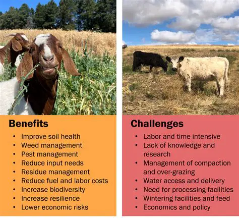 The Benefits of Livestock Keeping