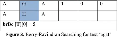 The Berry Ravindran Algorithm