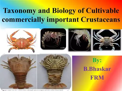 The Biology of Crustaceans