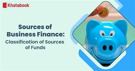 The Challenge of Funding for Services