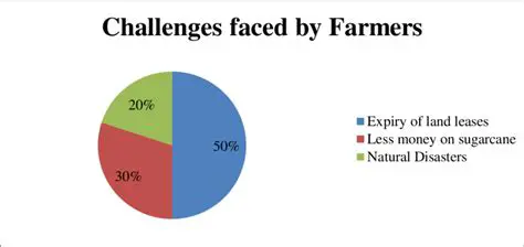 The Challenges Faced by Farmers