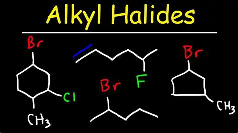 The Chemistry of Alkyl Halides