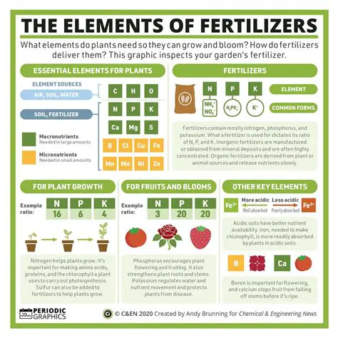 The Chemistry of Fertilizers