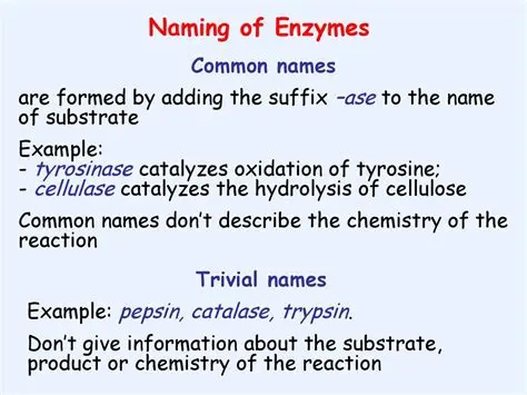 The Chemistry of the Reaction