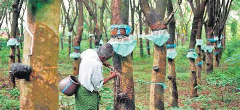 The Colonial Period and the Emergence of Rubber Plantations