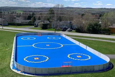 The Community Center Hockey Surface