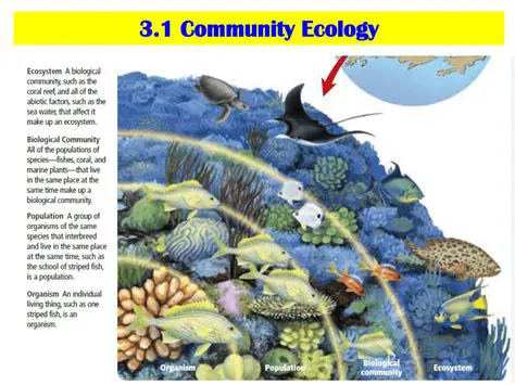 The Community Concept in Ecology