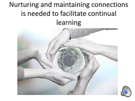 The companion system is designed to be flexible and dynamic