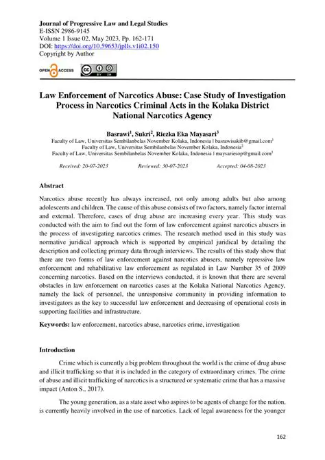 The Complexity of Narcotics Abuse Cases Involving Children