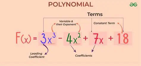 The Components of the Polynomial Equation
