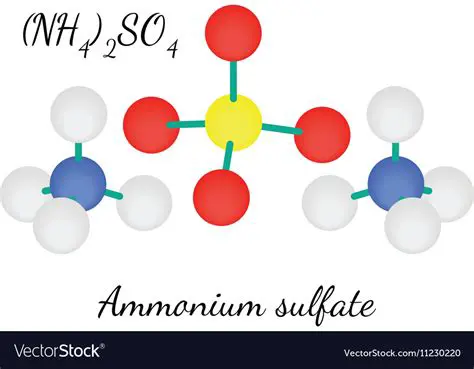 The Composition of Ammonium Sulfate