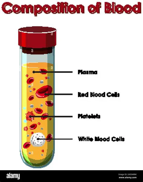 The Composition of Blood Sugar