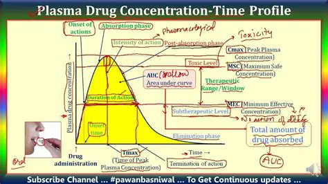 The Concentration of the Drug