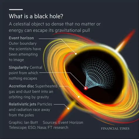 The Concept of a Black Hole