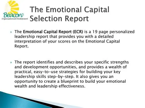 The Concept of Emotional Capital