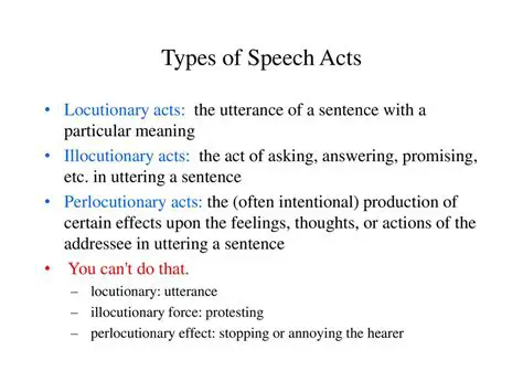 The Concept of Illocutionary Speech Acts