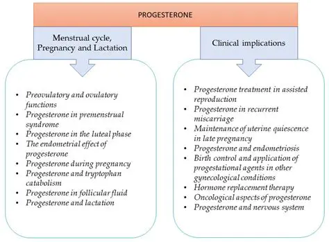 The Connection Between Progesterone and Fish