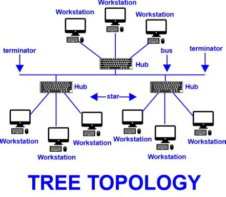 The Connection Between Topology and Number Theory