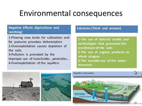 The Consequences of Environmental Problems
